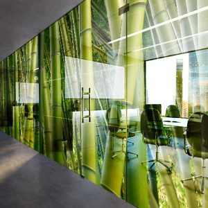 Adhesivos PVC transparente